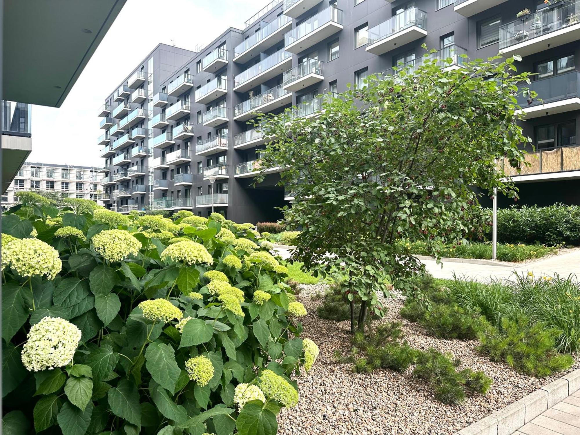 Mieszczanska 25 Apartment - Self Check-In 20H - Parking & Lift - Wroclaw — Photos 1